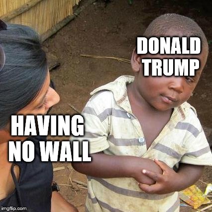 Third World Skeptical Kid Meme | DONALD TRUMP; HAVING NO WALL | image tagged in memes,third world skeptical kid | made w/ Imgflip meme maker