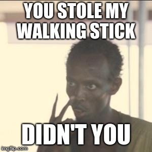 Look At Me Meme | YOU STOLE MY WALKING STICK; DIDN'T YOU | image tagged in memes,look at me | made w/ Imgflip meme maker
