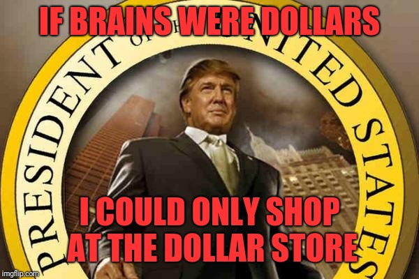 Brain power  | IF BRAINS WERE DOLLARS; I COULD ONLY SHOP AT THE DOLLAR STORE | image tagged in trump,dollar store | made w/ Imgflip meme maker