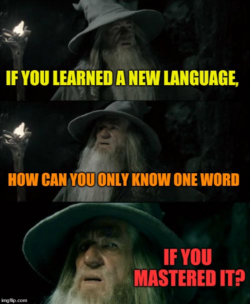 Confused Gandalf Meme | IF YOU LEARNED A NEW LANGUAGE, HOW CAN YOU ONLY KNOW ONE WORD IF YOU MASTERED IT? | image tagged in memes,confused gandalf | made w/ Imgflip meme maker