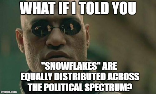 Entitled whining happens just as much on the right as the left and all makes America look stupid. | WHAT IF I TOLD YOU; "SNOWFLAKES" ARE EQUALLY DISTRIBUTED ACROSS THE POLITICAL SPECTRUM? | image tagged in memes,matrix morpheus | made w/ Imgflip meme maker