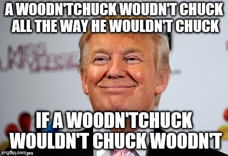 Donald trump approves | A WOODN'TCHUCK WOUDN'T CHUCK ALL THE WAY HE WOULDN'T CHUCK IF A WOODN'TCHUCK WOULDN'T CHUCK WOODN'T | image tagged in donald trump approves | made w/ Imgflip meme maker