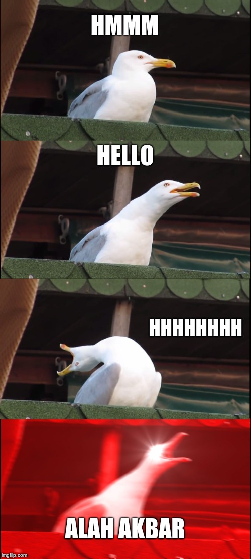 Inhaling Seagull | HMMM; HELLO; HHHHHHHH; ALAH AKBAR | image tagged in memes,inhaling seagull | made w/ Imgflip meme maker