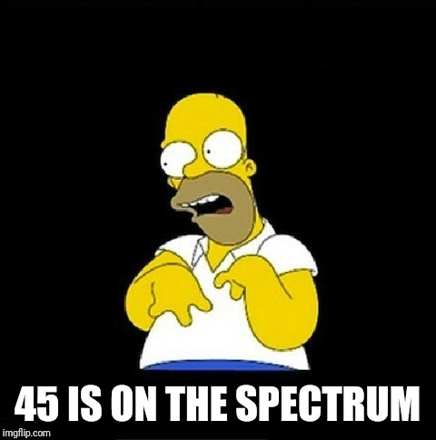 Homer Simpson Retarded | 45 IS ON THE SPECTRUM | image tagged in homer simpson retarded | made w/ Imgflip meme maker