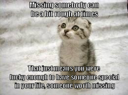 Sad Cat Meme | Missing somebody can be a bit rough at times; That just means you were lucky enough to have someone special in your life, someone worth missing | image tagged in memes,sad cat | made w/ Imgflip meme maker