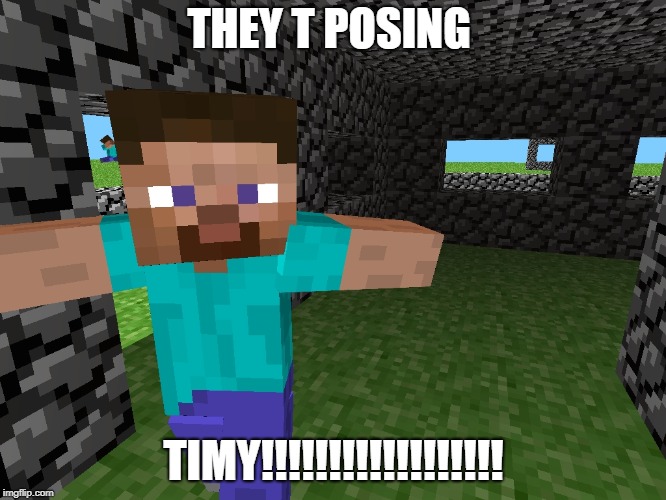 Minecraft garbo | THEY T POSING; TIMY!!!!!!!!!!!!!!!!!! | image tagged in minecraft garbo | made w/ Imgflip meme maker