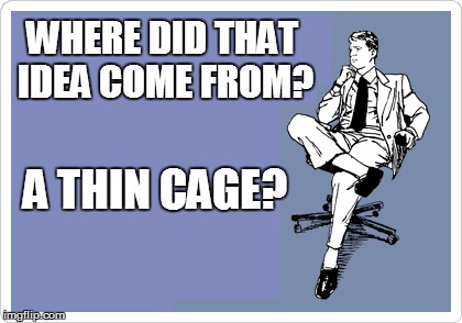 WHERE DID THAT IDEA COME FROM? A THIN CAGE? | made w/ Imgflip meme maker