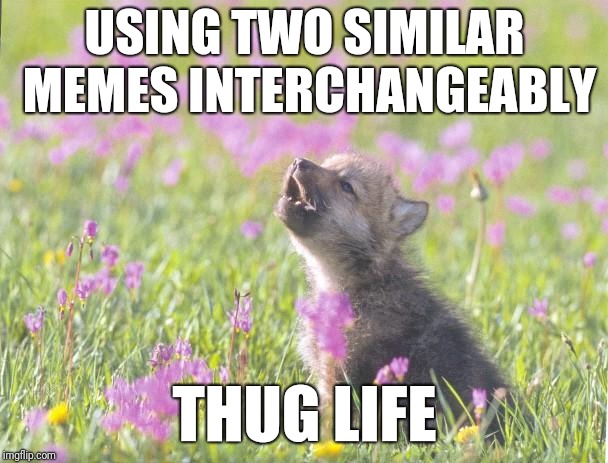 Baby Insanity Wolf Meme | USING TWO SIMILAR MEMES INTERCHANGEABLY; THUG LIFE | image tagged in memes,baby insanity wolf | made w/ Imgflip meme maker