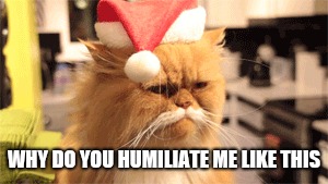 WHY DO YOU HUMILIATE ME LIKE THIS | image tagged in christmas,cat,santa hat | made w/ Imgflip meme maker