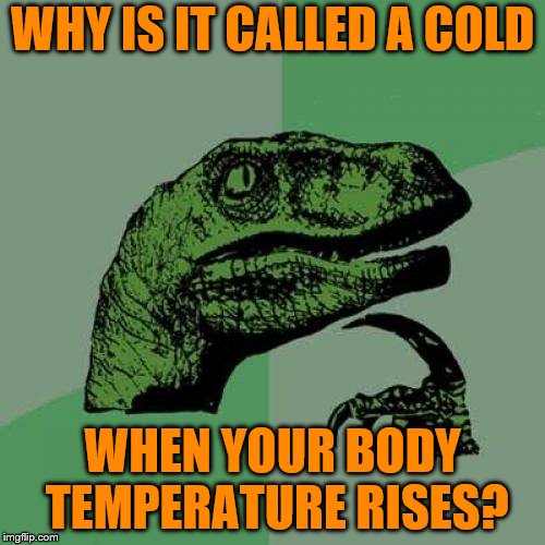 Philosoraptor Meme | WHY IS IT CALLED A COLD; WHEN YOUR BODY TEMPERATURE RISES? | image tagged in memes,philosoraptor | made w/ Imgflip meme maker