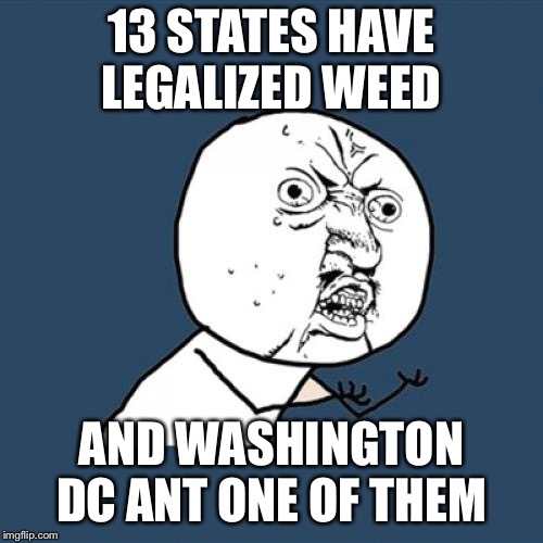 Y U No | 13 STATES HAVE LEGALIZED WEED; AND WASHINGTON DC ANT ONE OF THEM | image tagged in memes,y u no | made w/ Imgflip meme maker