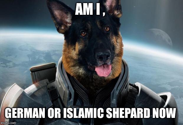 CMDR German Shepard | AM I , GERMAN OR ISLAMIC SHEPARD NOW | image tagged in cmdr german shepard | made w/ Imgflip meme maker