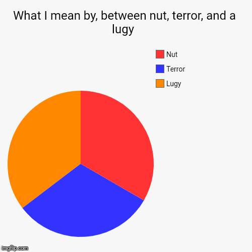 What I mean by, between nut, terror, and a lugy  | Lugy, Terror, Nut | image tagged in funny,pie charts | made w/ Imgflip chart maker
