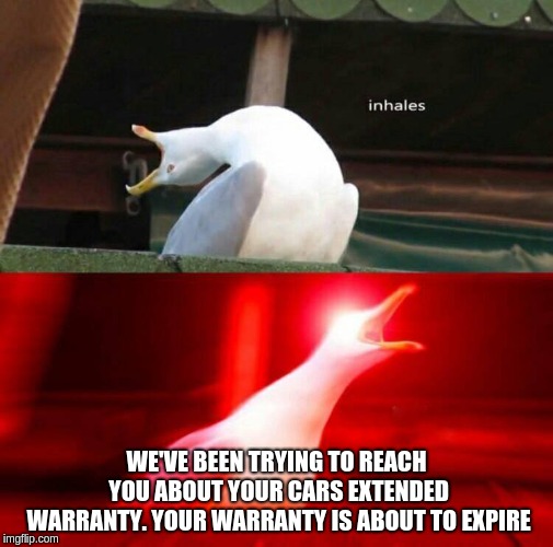 Inhaling Seagull  | WE'VE BEEN TRYING TO REACH YOU ABOUT YOUR CARS EXTENDED WARRANTY. YOUR WARRANTY IS ABOUT TO EXPIRE | image tagged in inhaling seagull,AdviceAnimals | made w/ Imgflip meme maker