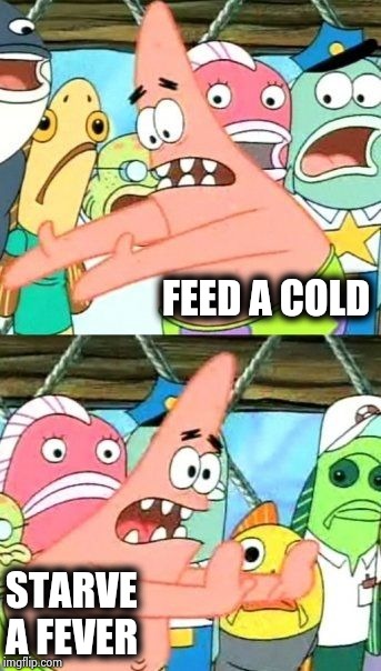 Put It Somewhere Else Patrick Meme | FEED A COLD STARVE A FEVER | image tagged in memes,put it somewhere else patrick | made w/ Imgflip meme maker