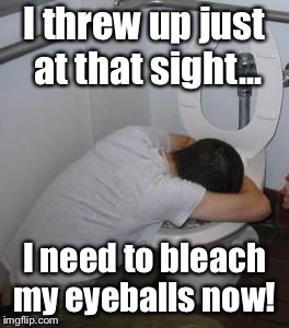 Drunk puking toilet | I threw up just at that sight... I need to bleach my eyeballs now! | image tagged in drunk puking toilet | made w/ Imgflip meme maker