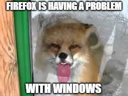Lag or stupid? | FIREFOX IS HAVING A PROBLEM; WITH WINDOWS | image tagged in firefox,windows | made w/ Imgflip meme maker