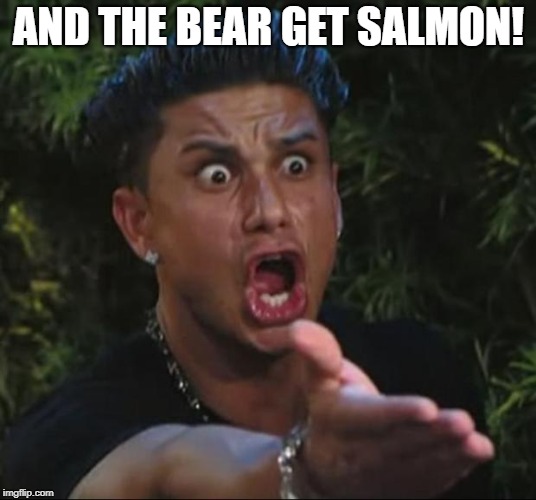 DJ Pauly D Meme | AND THE BEAR GET SALMON! | image tagged in memes,dj pauly d | made w/ Imgflip meme maker