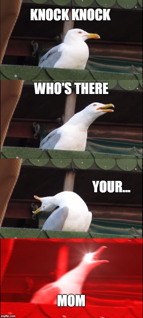 Inhaling Seagull | KNOCK KNOCK; WHO'S THERE; YOUR... MOM | image tagged in memes,inhaling seagull | made w/ Imgflip meme maker