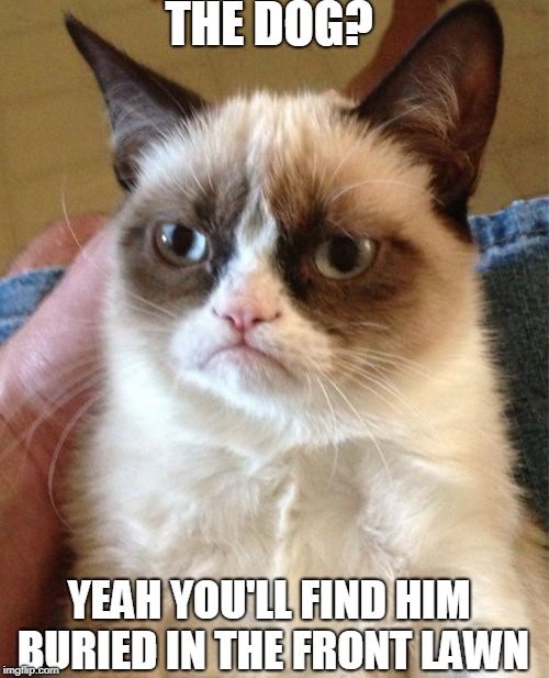 Grumpy Cat | THE DOG? YEAH YOU'LL FIND HIM BURIED IN THE FRONT LAWN | image tagged in memes,grumpy cat | made w/ Imgflip meme maker