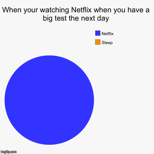 When your watching Netflix when you have a big test the next day | Sleep , Netflix | image tagged in funny,pie charts | made w/ Imgflip chart maker