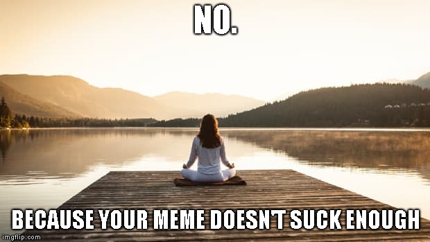 NO. BECAUSE YOUR MEME DOESN'T SUCK ENOUGH | made w/ Imgflip meme maker