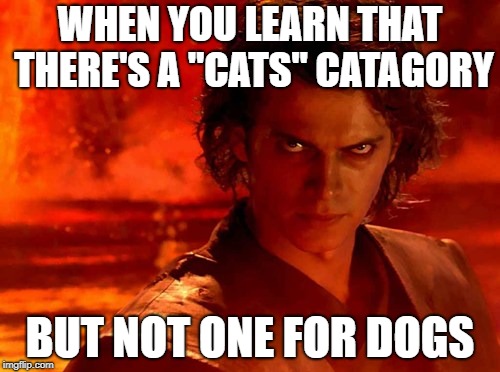 You Underestimate My Power | WHEN YOU LEARN THAT THERE'S A "CATS" CATAGORY; BUT NOT ONE FOR DOGS | image tagged in memes,you underestimate my power | made w/ Imgflip meme maker