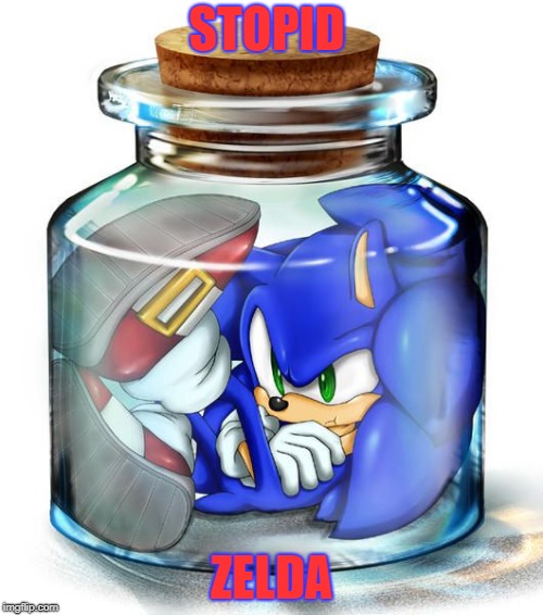 Sonic | STOPID; ZELDA | image tagged in sonic | made w/ Imgflip meme maker