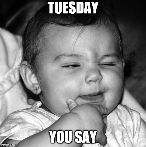tuesday | TUESDAY; YOU SAY | image tagged in tuesday,tuesday you say,funny,memes,meme,funny memes | made w/ Imgflip meme maker