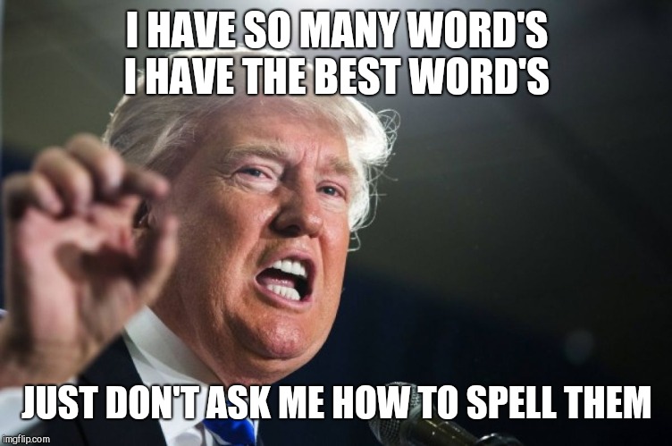 donald trump | I HAVE SO MANY WORD'S I HAVE THE BEST WORD'S JUST DON'T ASK ME HOW TO SPELL THEM | image tagged in donald trump | made w/ Imgflip meme maker