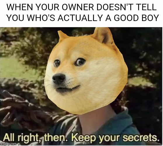 WHEN YOUR OWNER DOESN'T TELL YOU WHO'S ACTUALLY A GOOD BOY | image tagged in memes,doge,dogs,good boy,alright then keep your secrets,lord of the rings | made w/ Imgflip meme maker