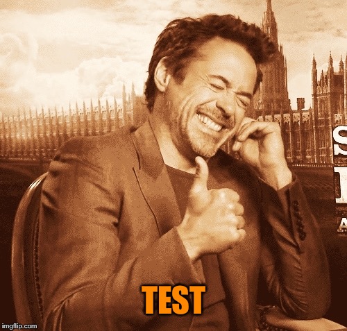 laughing | TEST | image tagged in laughing | made w/ Imgflip meme maker