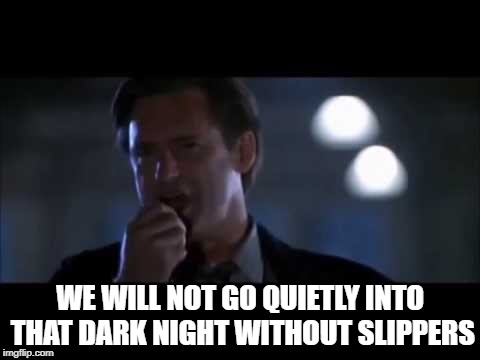 WE WILL NOT GO QUIETLY INTO THAT DARK NIGHT WITHOUT SLIPPERS | made w/ Imgflip meme maker