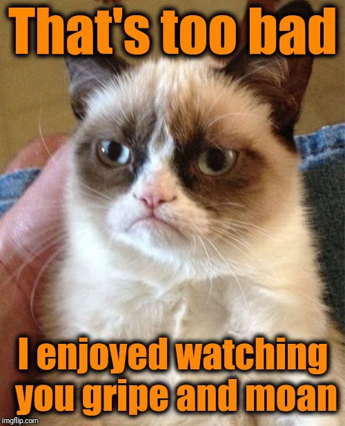 Grumpy Cat Meme | That's too bad I enjoyed watching you gripe and moan | image tagged in memes,grumpy cat | made w/ Imgflip meme maker