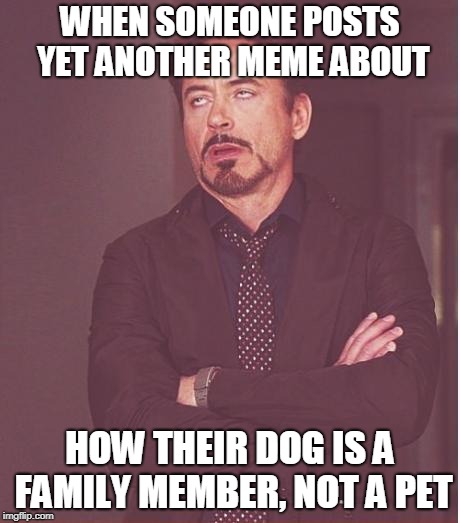 Mental Illness comes in many forms these days. | WHEN SOMEONE POSTS YET ANOTHER MEME ABOUT; HOW THEIR DOG IS A FAMILY MEMBER, NOT A PET | image tagged in memes,face you make robert downey jr | made w/ Imgflip meme maker
