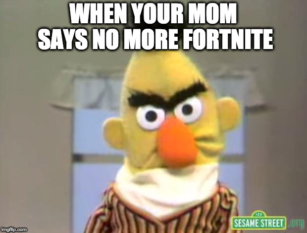 Sesame Street - Angry Bert | WHEN YOUR MOM SAYS NO MORE FORTNITE | image tagged in sesame street - angry bert | made w/ Imgflip meme maker