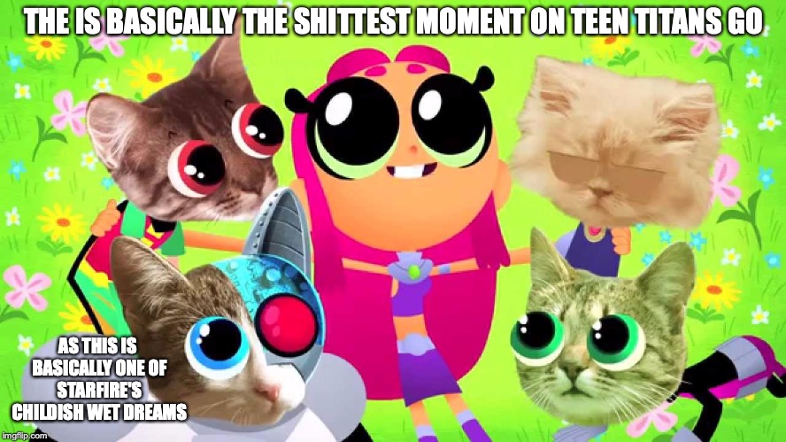 Starfire's Childish Wet Dream | THE IS BASICALLY THE SHITTEST MOMENT ON TEEN TITANS GO; AS THIS IS BASICALLY ONE OF STARFIRE'S CHILDISH WET DREAMS | image tagged in starfire,teen titans go,cats,memes | made w/ Imgflip meme maker