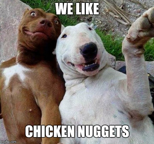 selfie dogs | WE LIKE; CHICKEN NUGGETS | image tagged in selfie dogs | made w/ Imgflip meme maker