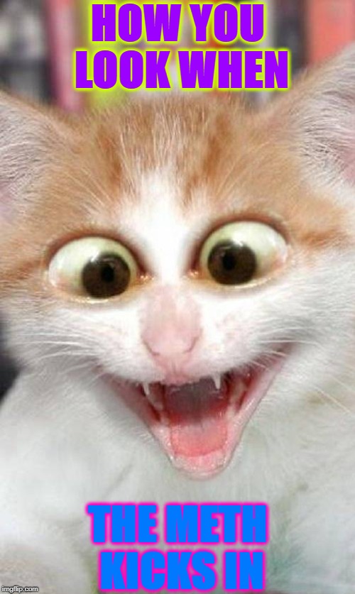 HOW YOU LOOK WHEN; THE METH KICKS IN | image tagged in meth kitty | made w/ Imgflip meme maker