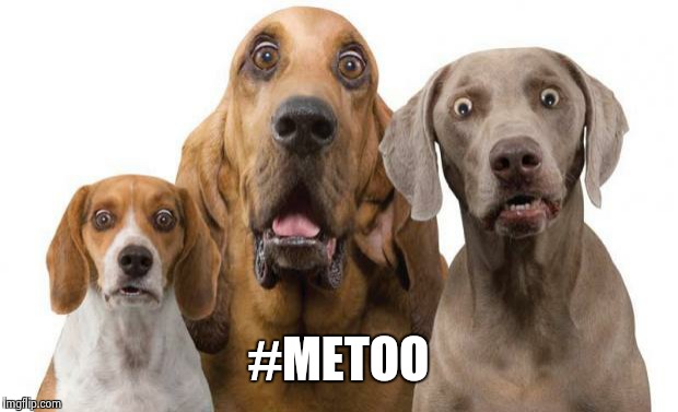 surprised dogs | #METOO | image tagged in surprised dogs | made w/ Imgflip meme maker