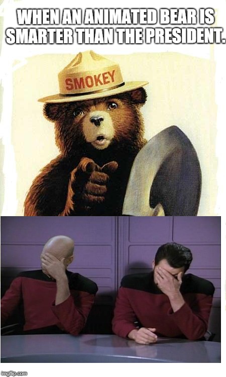 Smokey The Bear | WHEN AN ANIMATED BEAR IS SMARTER THAN THE PRESIDENT. | image tagged in smokey the bear | made w/ Imgflip meme maker