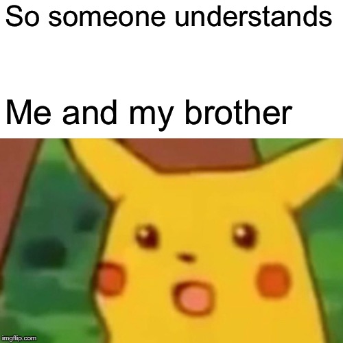 Surprised Pikachu Meme | So someone understands Me and my brother | image tagged in memes,surprised pikachu | made w/ Imgflip meme maker