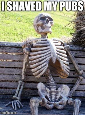 Waiting Skeleton | I SHAVED MY PUBS | image tagged in memes,waiting skeleton | made w/ Imgflip meme maker