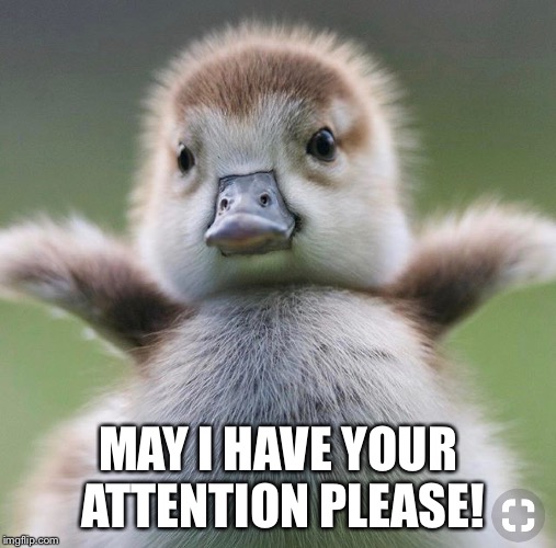 MAY I HAVE YOUR ATTENTION PLEASE! | made w/ Imgflip meme maker