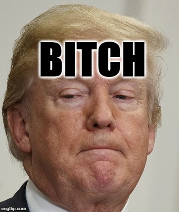 In Case You Were Confused.... | BITCH | image tagged in donald trump,impeach,traitor,treason,russia,mueller | made w/ Imgflip meme maker