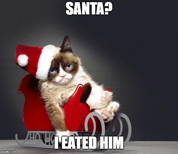 Grumpy Cat Christmas HD | SANTA? I EATED HIM | image tagged in grumpy cat christmas hd | made w/ Imgflip meme maker