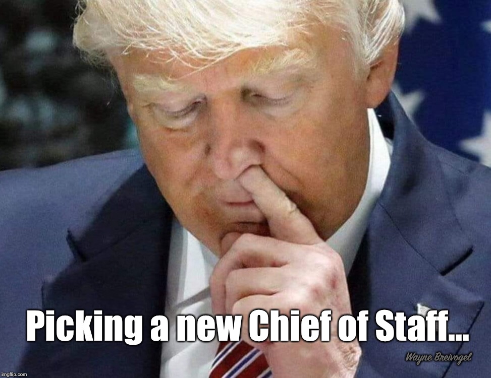 Picking a new chief of staff | Picking a new Chief of Staff... Wayne Breivogel | image tagged in donald trump,chief of staff | made w/ Imgflip meme maker