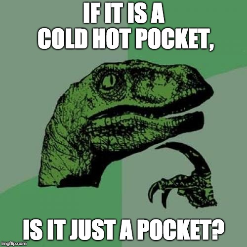 Philosoraptor | IF IT IS A COLD HOT POCKET, IS IT JUST A POCKET? | image tagged in memes,philosoraptor | made w/ Imgflip meme maker