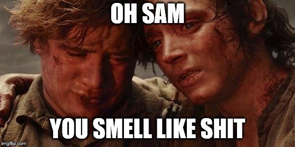 Lord of the rings  | OH SAM; YOU SMELL LIKE SHIT | image tagged in lord of the rings | made w/ Imgflip meme maker