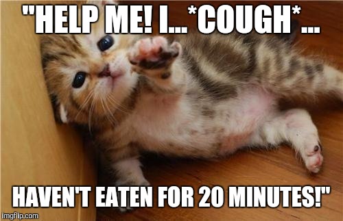 Help Me Kitten | "HELP ME! I...*COUGH*... HAVEN'T EATEN FOR 20 MINUTES!" | image tagged in help me kitten | made w/ Imgflip meme maker